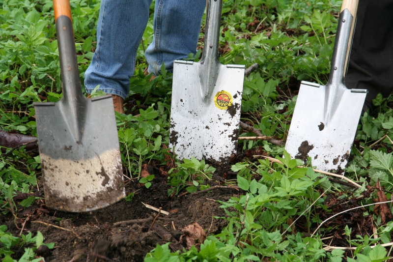 pepiniere-BENDEJUN-min_work-lawn-flower-tool-green-backyard-1103633-pxhere.com